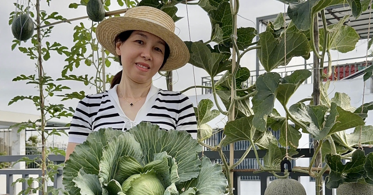 Gia đình ở TP.HCM tự cung tự cấp rau sạch nhờ vườn sân thượng