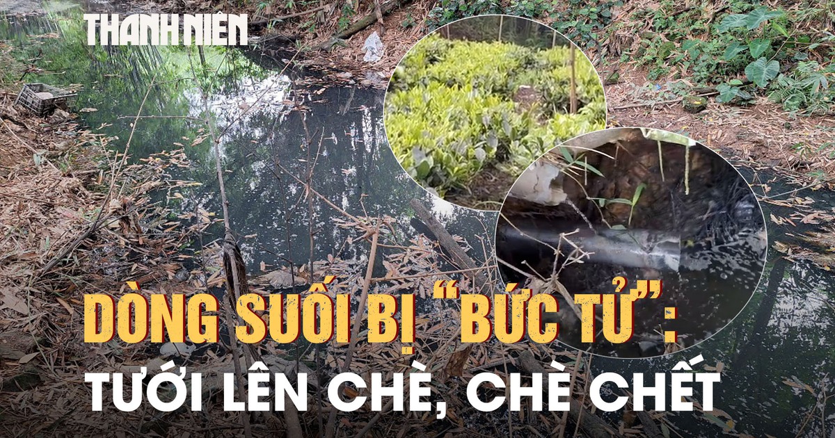 Kinh hoàng dòng suối đen ngòm khiến trăm hộ dân khốn đốn: Xác định 2 nguồn ô nhiễm