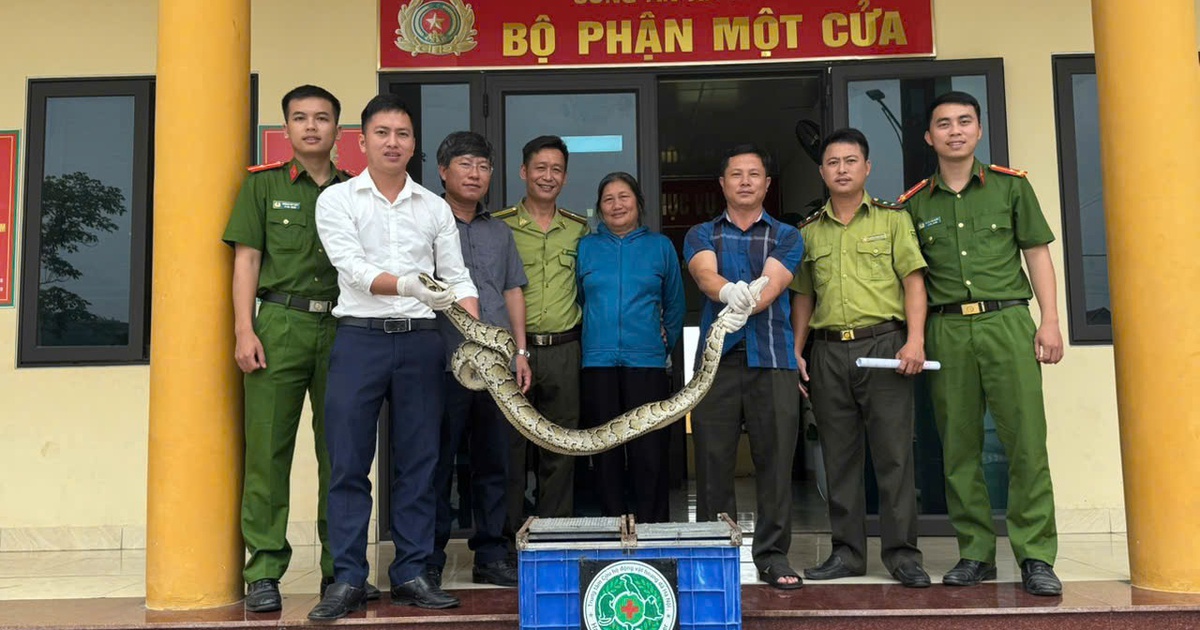 Người dân liên tiếp bắt được động vật quý hiếm trong vườn nhà