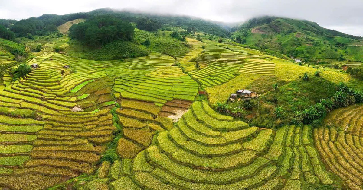 Những tuyệt tác thiên nhiên: Siu Puông và chuyện tình hóa đá