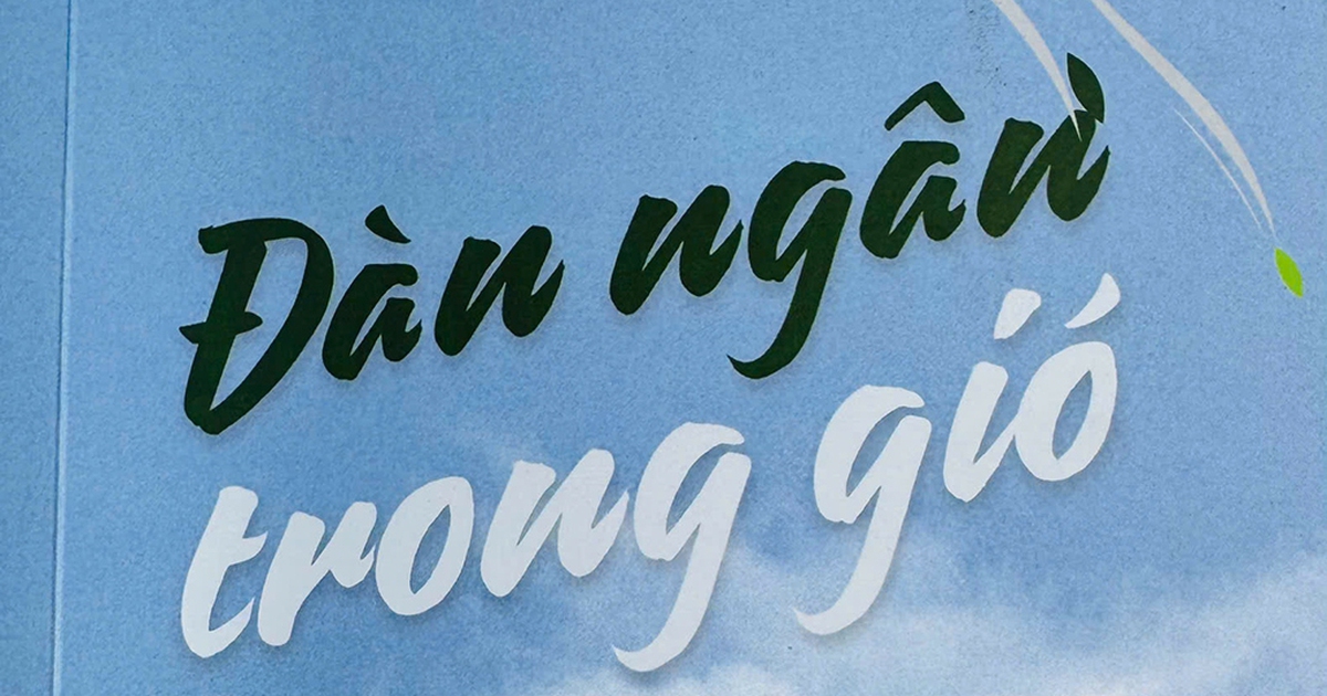 'Đàn ngân trong gió', đau thương và sự chữa lành…
