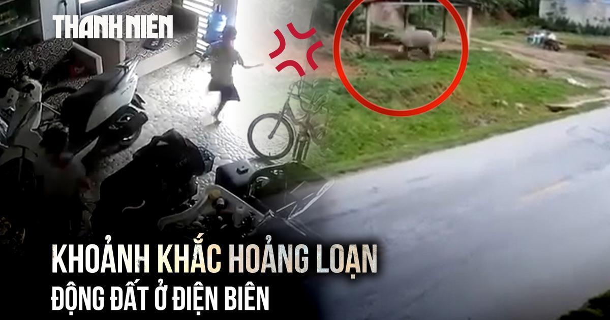 Trâu hoảng loạn bỏ chạy khi động đất cấp độ 2 ở Điện Biên