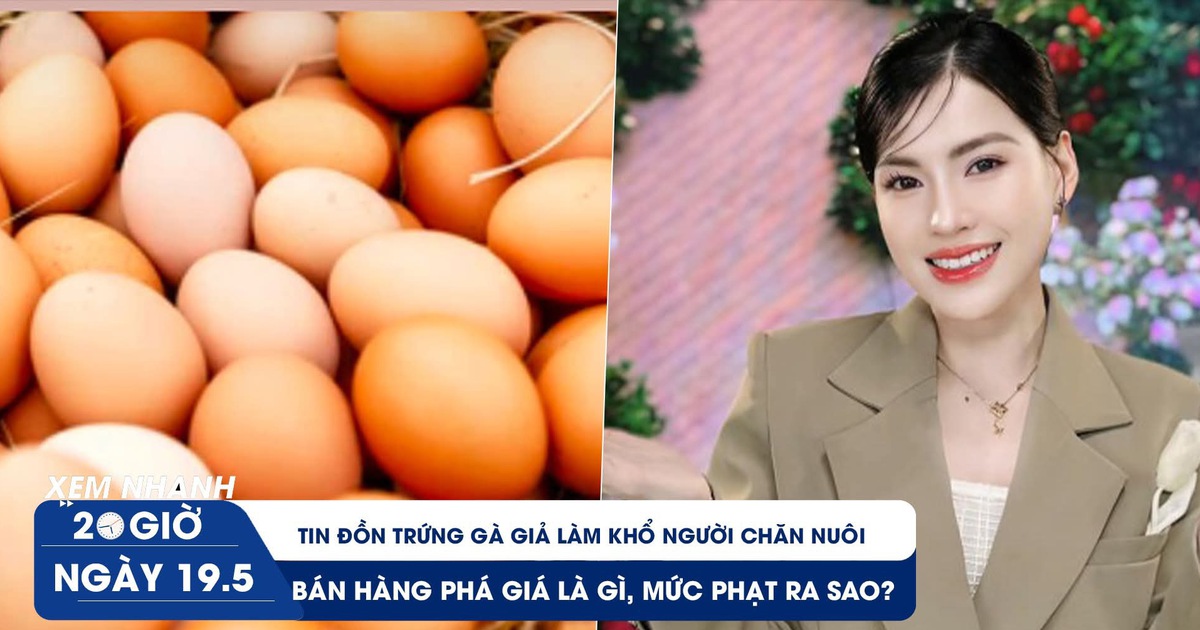 Xem nhanh 20h ngày 19.5: Tin đồn trứng gà giả làm khổ người chăn nuôi | Bán hàng phá giá là gì, mức phạt ra sao?