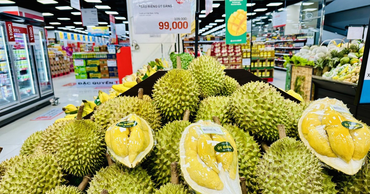 thanhnien.vn