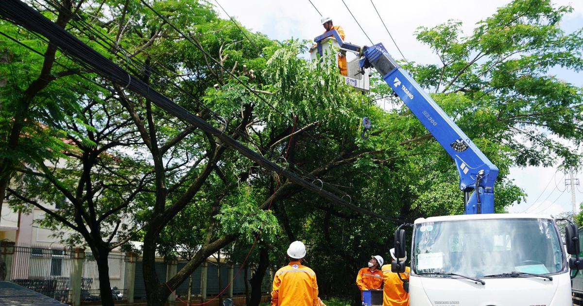 Ngành điện TP.HCM tăng cường an toàn điện mùa mưa, bão