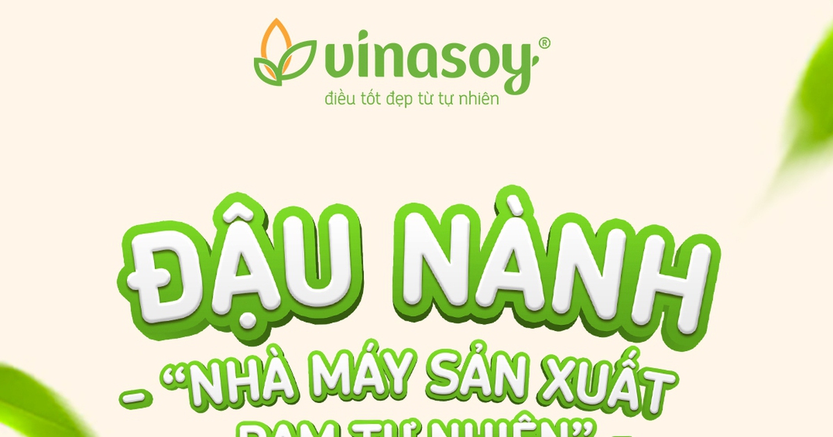 Đậu nành - ‘nhà máy sản xuất đạm tự nhiên’