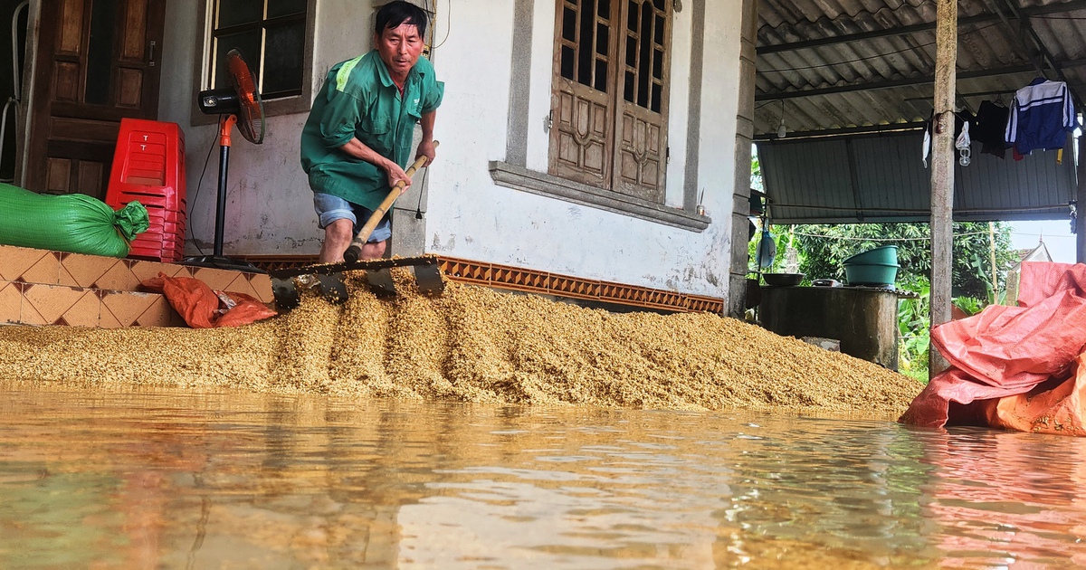 Lũ về bất thường, người dân Hà Tĩnh thiệt hại nặng
