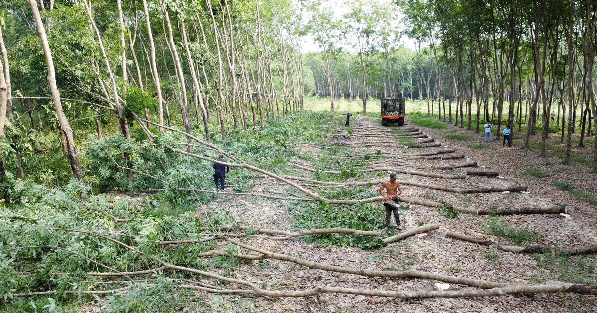 Vì sao chủ đầu tư đánh trượt thầu Tập đoàn Sơn Hải?