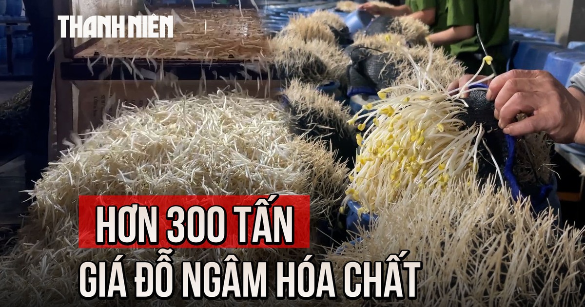 Cận cảnh hàng trăm giá đỗ trắng nõn sau khi ngâm hóa chất