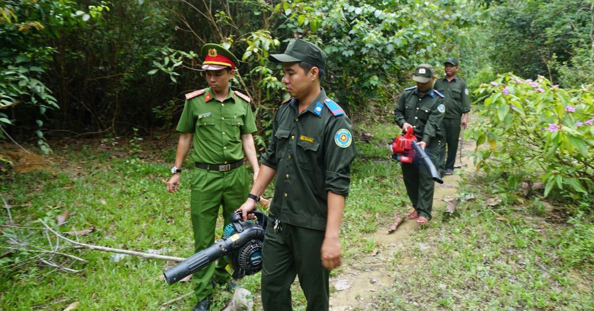 Căng mình giữa nắng nóng phòng cháy rừng, giữ 'lá phổi xanh' Đà Nẵng
