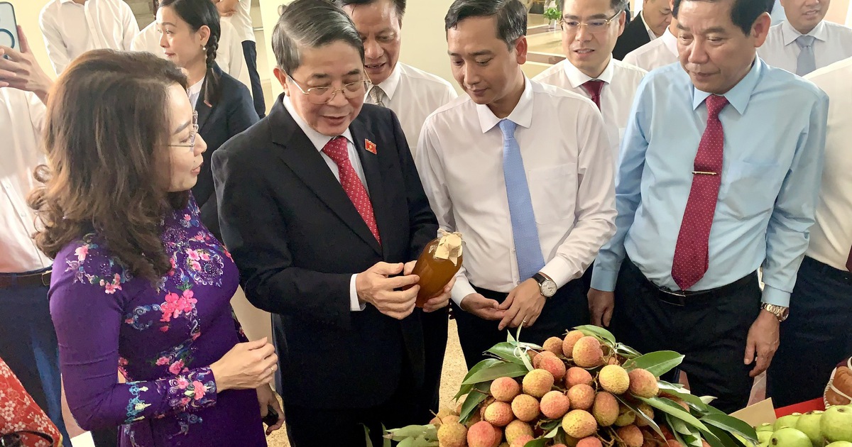 Quảng Tây 'mở luồng xanh' cho vải thiều Bắc Giang