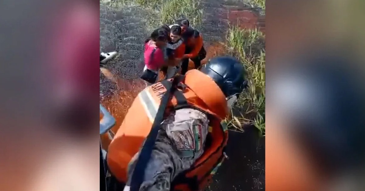 Rơi máy bay, 5 người sống sót sau 2 ngày giữa đầm lầy Amazon đầy cá sấu