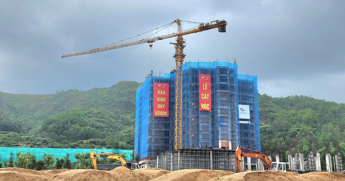 Người ngoài tỉnh muốn mua nhà ở xã hội tại Bình Định, cần những điều kiện gì?