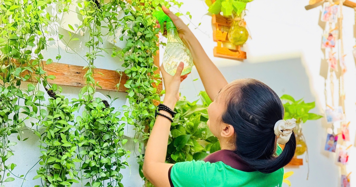 Khi 'sếp' trường tôi nêu gương sử dụng điện an toàn
