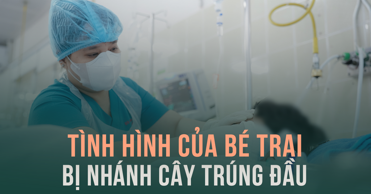 Tình hình hiện tại của bé trai bị nhánh cây gãy rơi trúng đầu