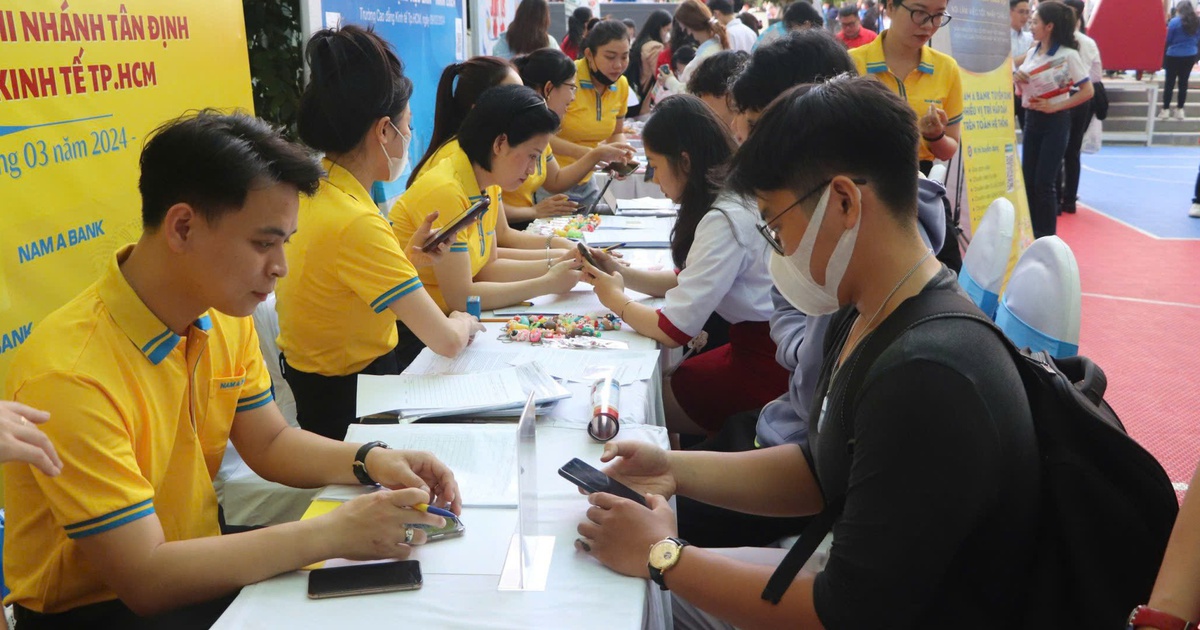 Ngỡ ngàng với CV trình bày tiếng Anh trau chuốt nhưng... do người khác viết hộ