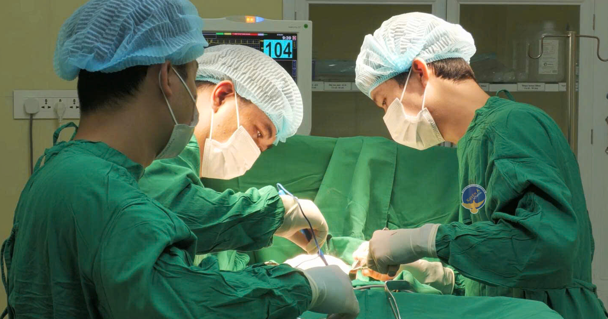 TP.HCM: Người phụ nữ bỏ tiền triệu mua ong về tự trị ung thư