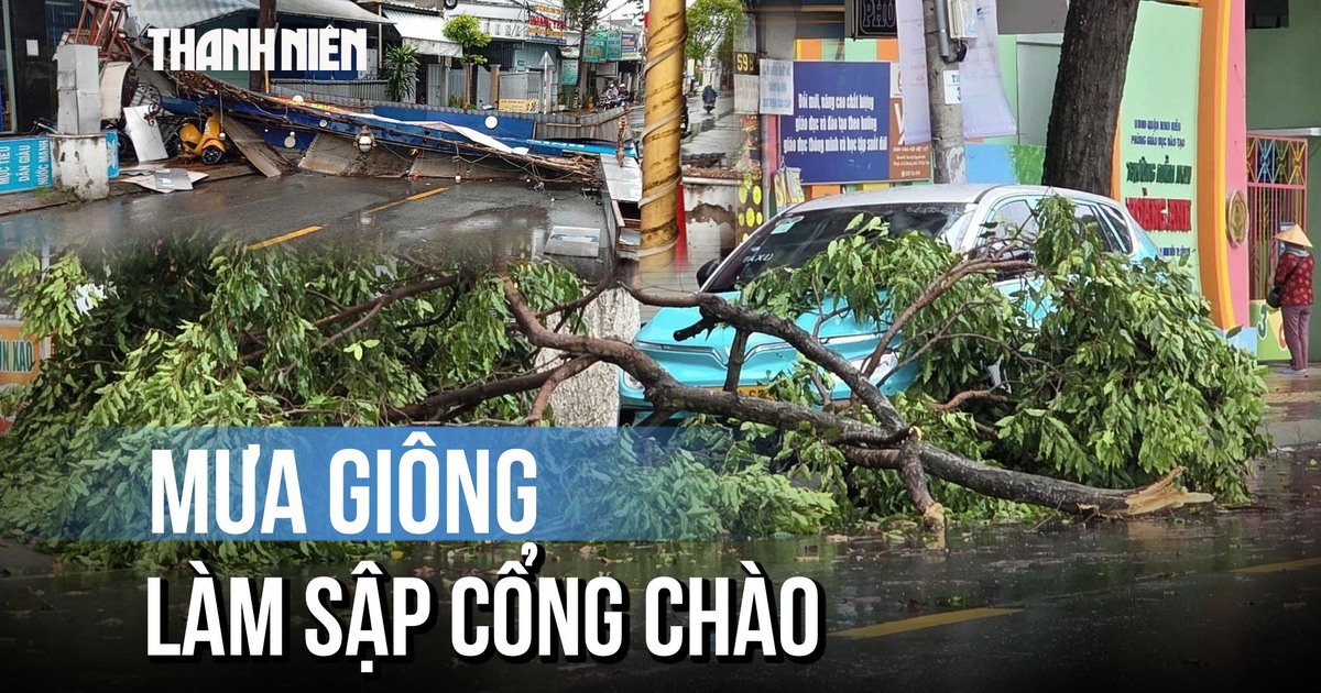 Mưa giông tại Cần Thơ: Cây xanh bật gốc, cổng chào đổ sập