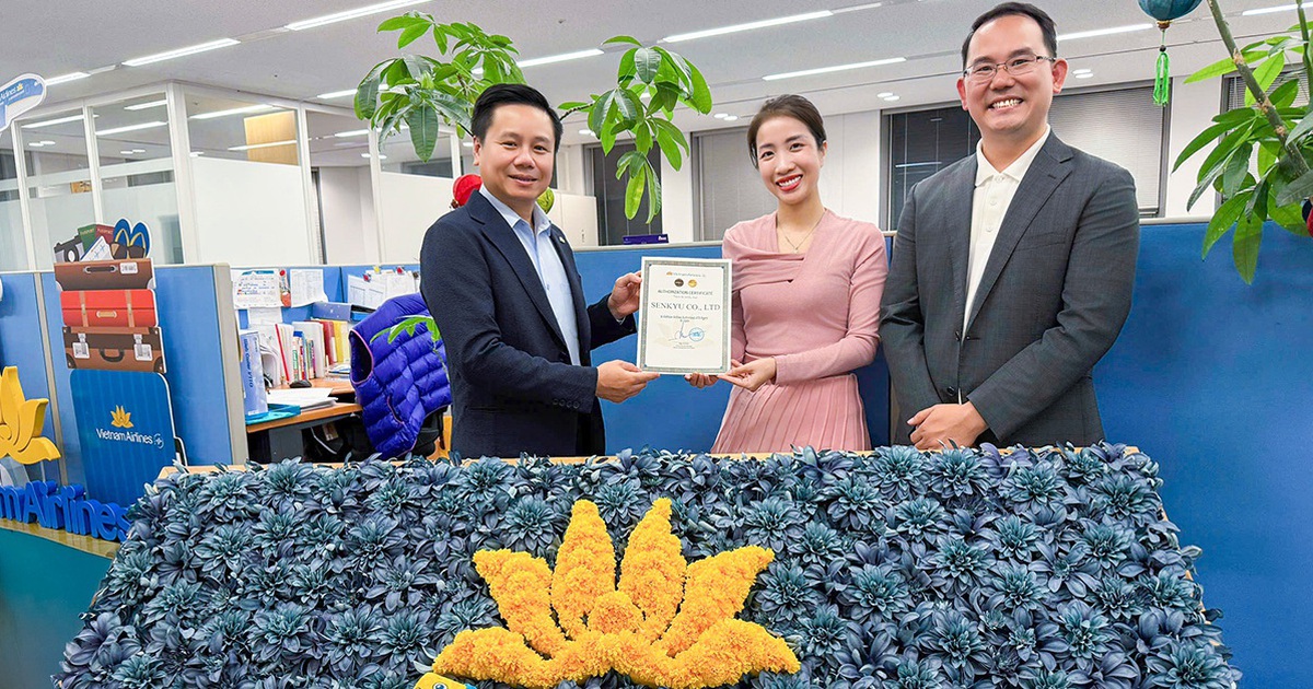 Phòng vé Senkyu - Đại lý cấp 1 Vietnam Airlines tại Nhật Bản