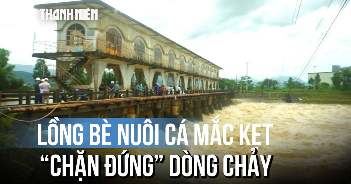 Lũ cuốn lồng cá, bộ đội ngâm mình 'giải cứu' đập Trạch An