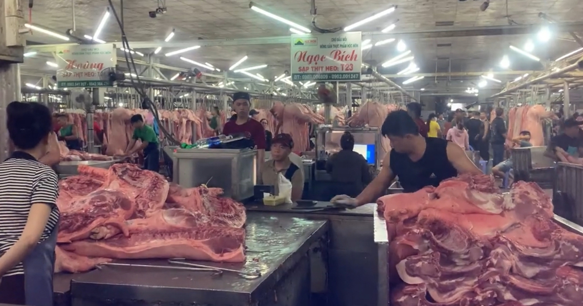 Giá heo hơi hôm nay 13.6.2025: Ổn định trên cả nước