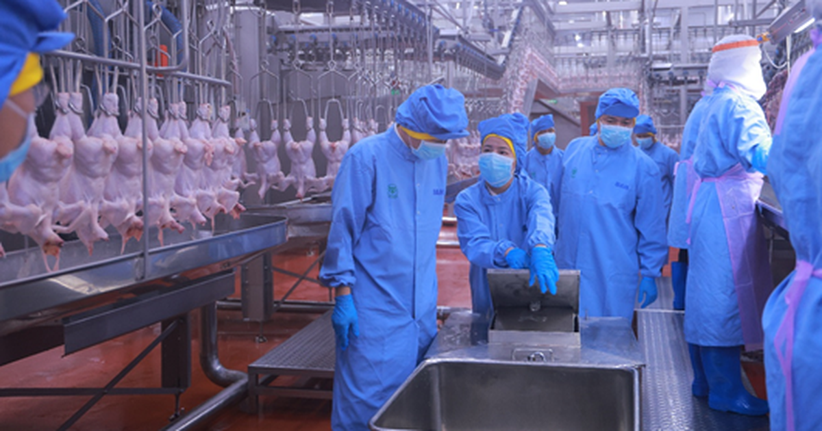 Bình Phước kiểm tra công tác an toàn thực phẩm tại nhà máy CPV Food
