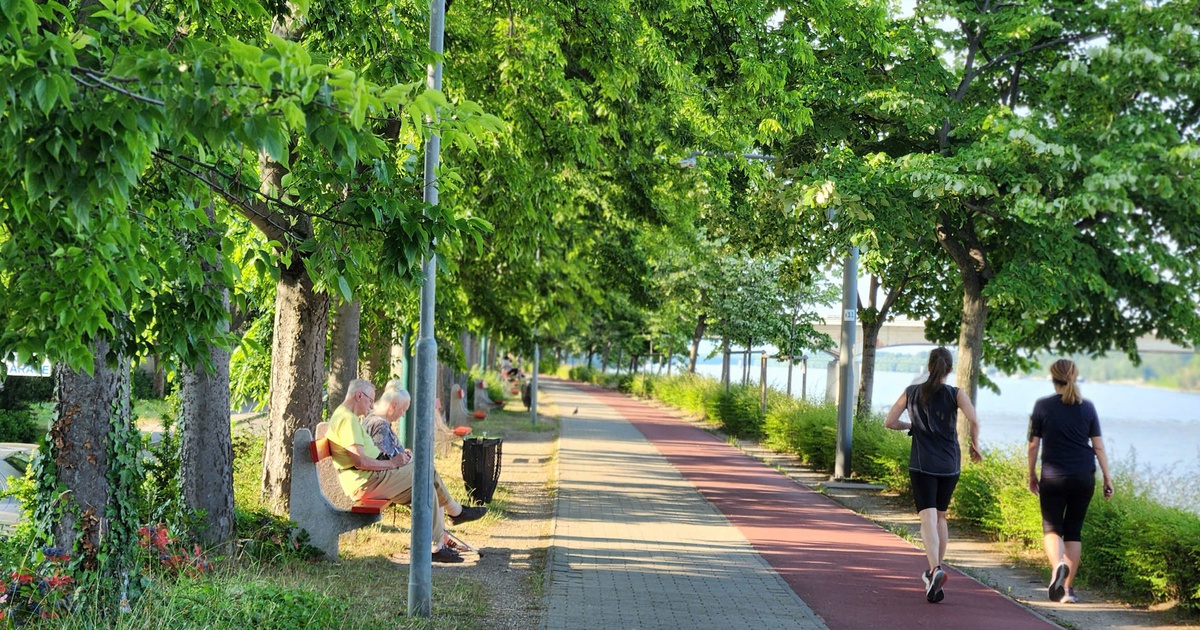Tận mắt chiêm ngưỡng sự bình yên bên dòng sông Danube xanh