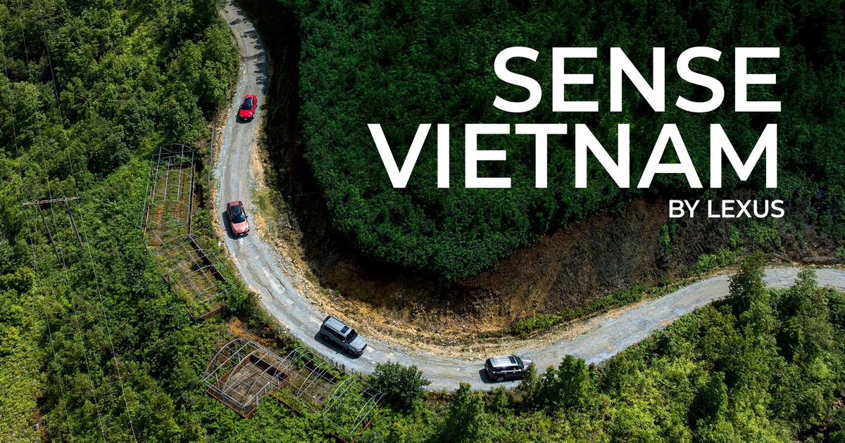 Sense Vietnam by Lexus - Hành trình của những con người cùng tần số