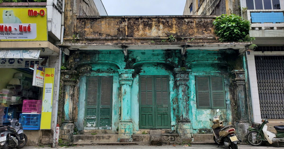 Bảo tồn hình hài 'tiếng thét' giữa kinh thành