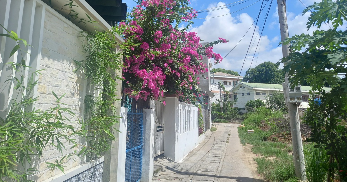 Người Quảng Ngãi ở quê có nhiều cách tiết kiệm điện 'độc, lạ'