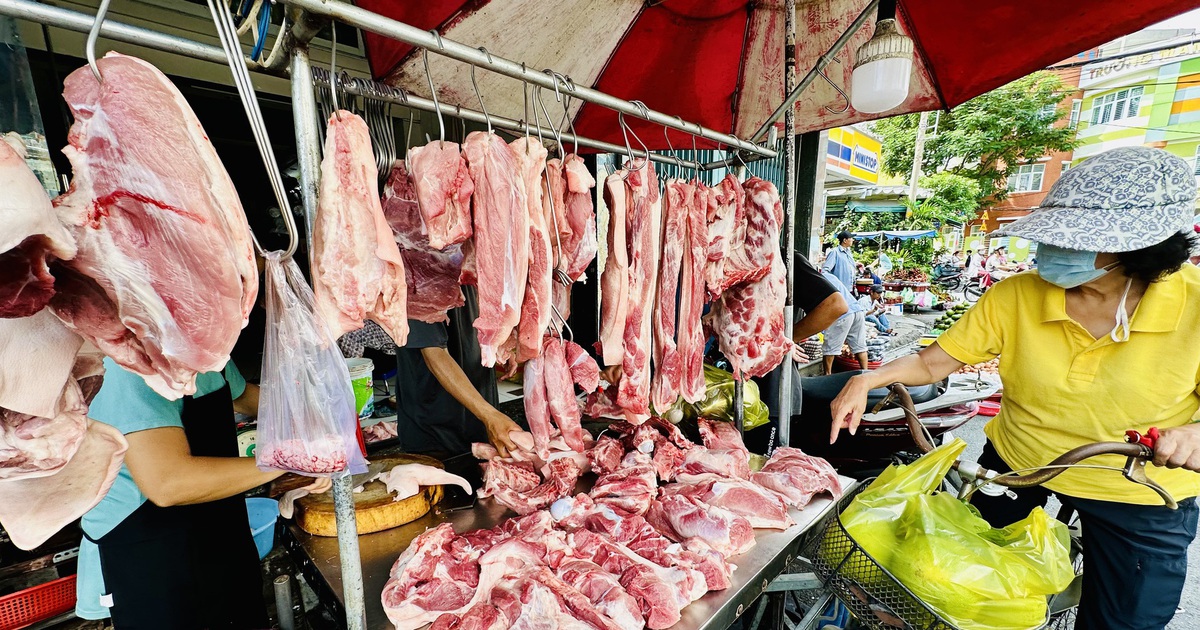 Giá heo hơi hôm nay 17.6.2025: Có nơi giảm đến 2.000 đồng