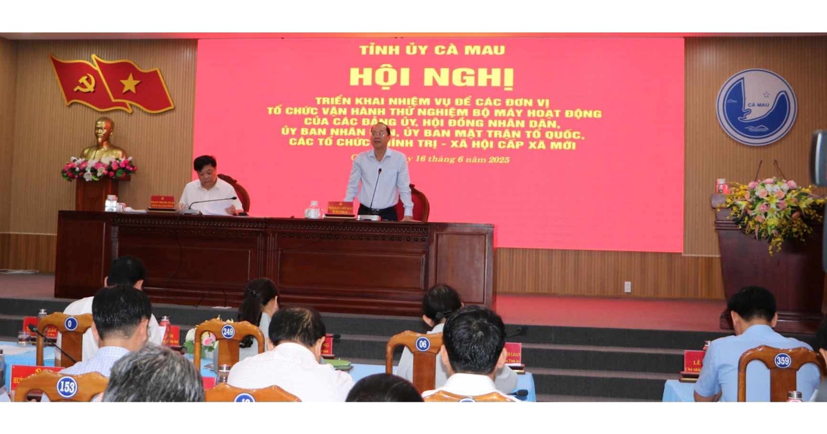 Cà Mau: Dự kiến công bố nhân sự chủ chốt cấp xã vào vào tuần tới