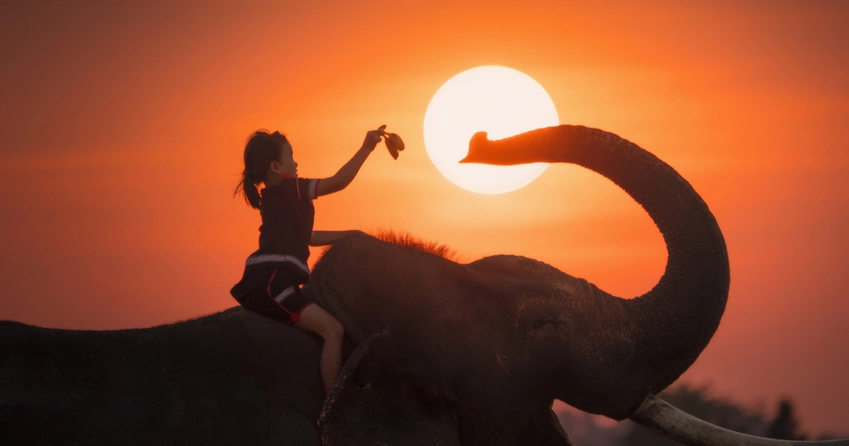 Ng&agrave;y mai l&agrave; ng&agrave;y d&agrave;i nhất 2025: Hạ ch&iacute;, nơi n&agrave;y c&oacute; mặt trời l&uacute;c nửa đ&ecirc;m