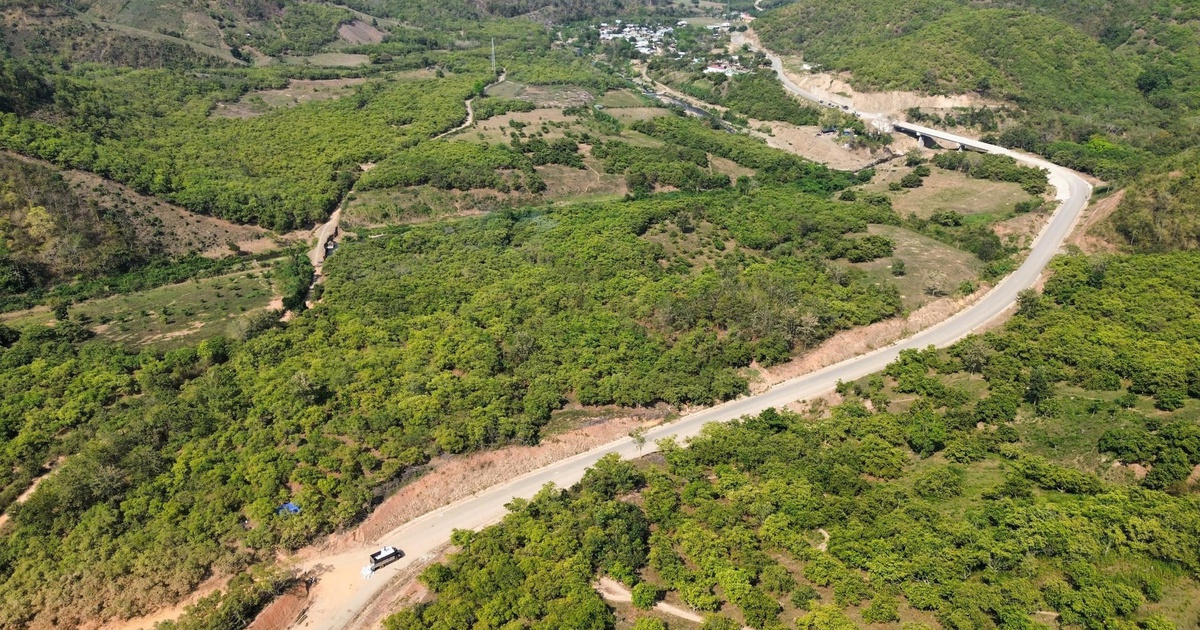 Kết nối rừng và biển