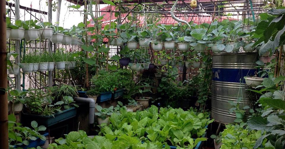 Gió và ánh sáng diệu kỳ từ ngôi nhà tuổi thơ