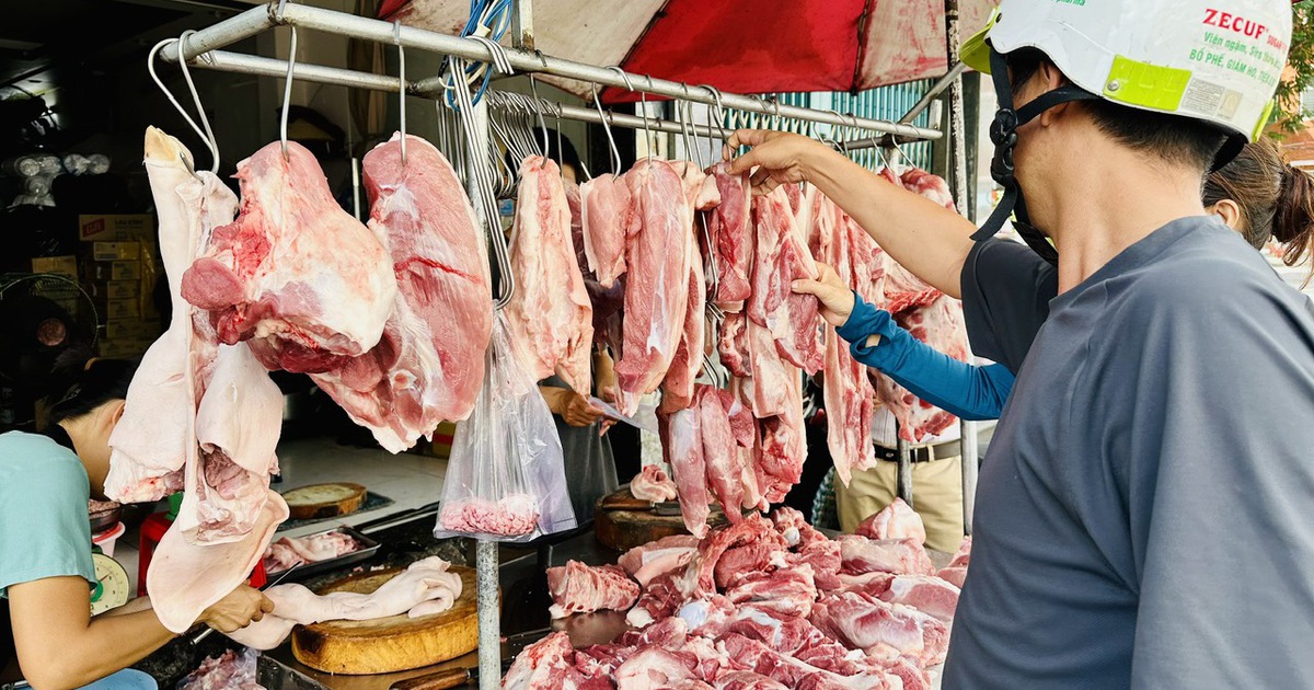 Giá heo hơi hôm nay 19.6.2025: Ngừng đà giảm