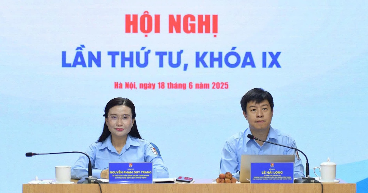 Sẽ hướng dẫn công tác Đội cấp xã sau khi sắp xếp tổ chức chính quyền
