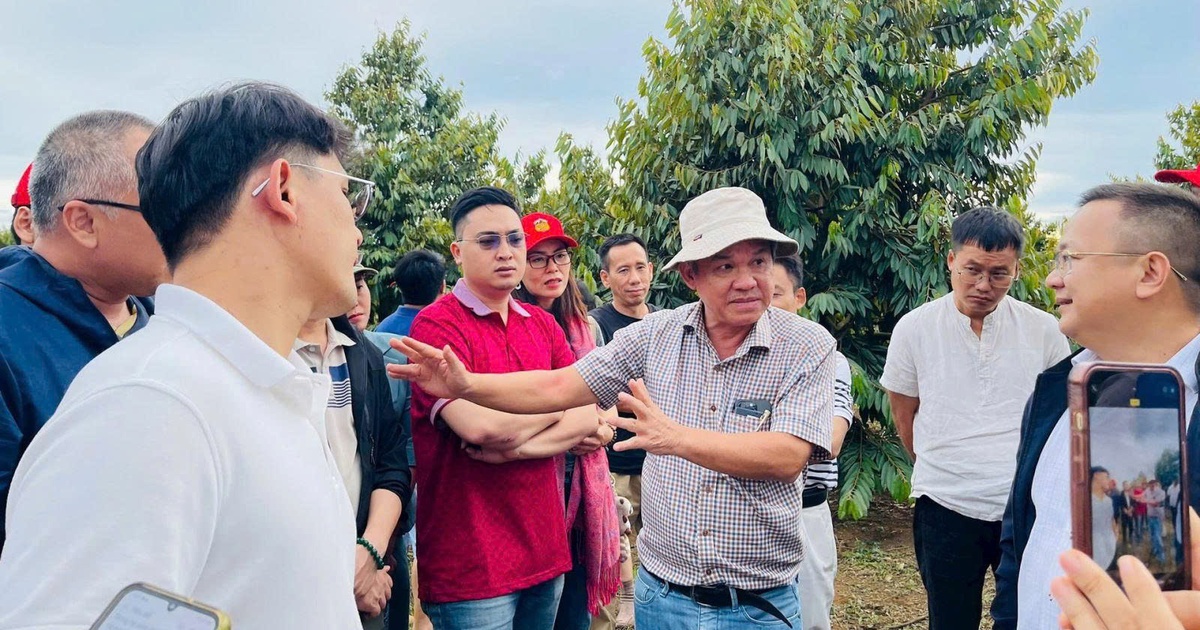 Bầu Đức chi gần 130 tỉ đồng mua cổ phiếu Hoàng Anh Gia Lai
