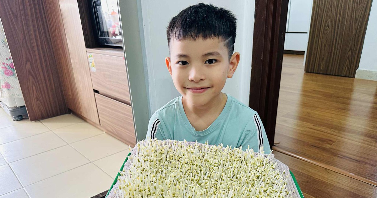 Cách làm giá đỗ sạch không tưới nước, trắng nõn, không lo hóa chất độc hại