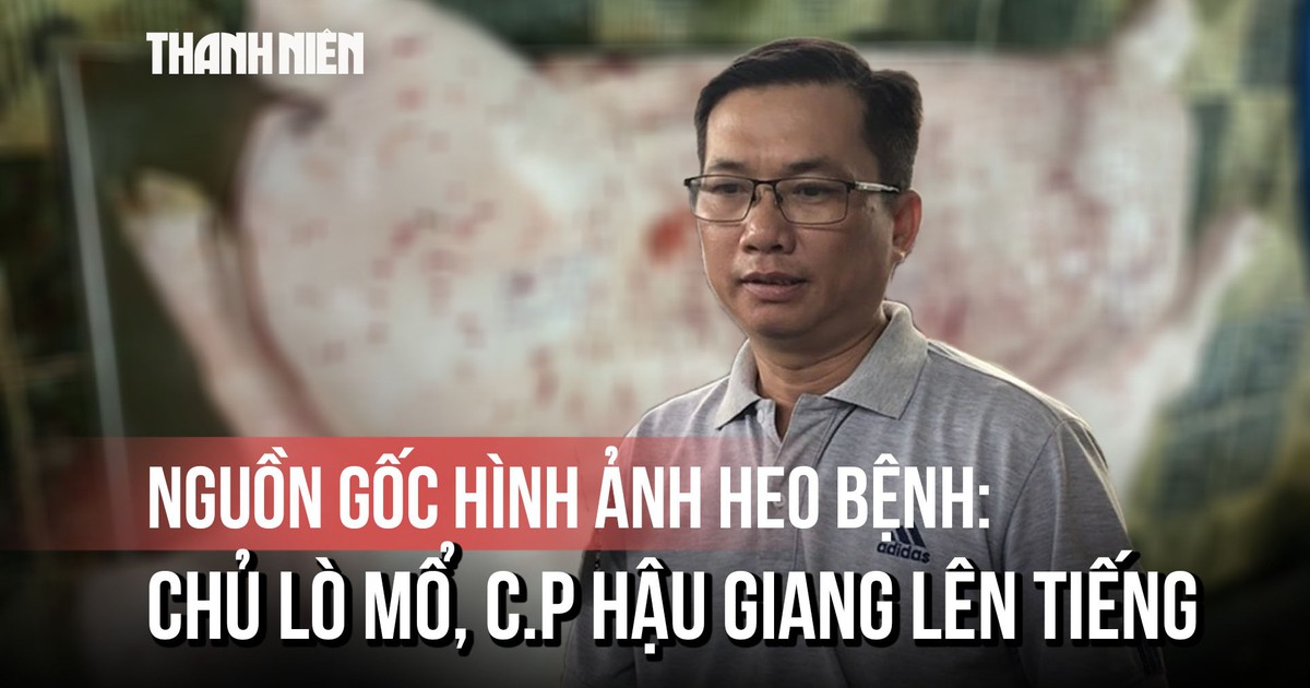 Truy vết lò mổ có hình ảnh bị tố heo bệnh, đại diện C.P nói 'đã tiêu hủy, cho cá ăn'
