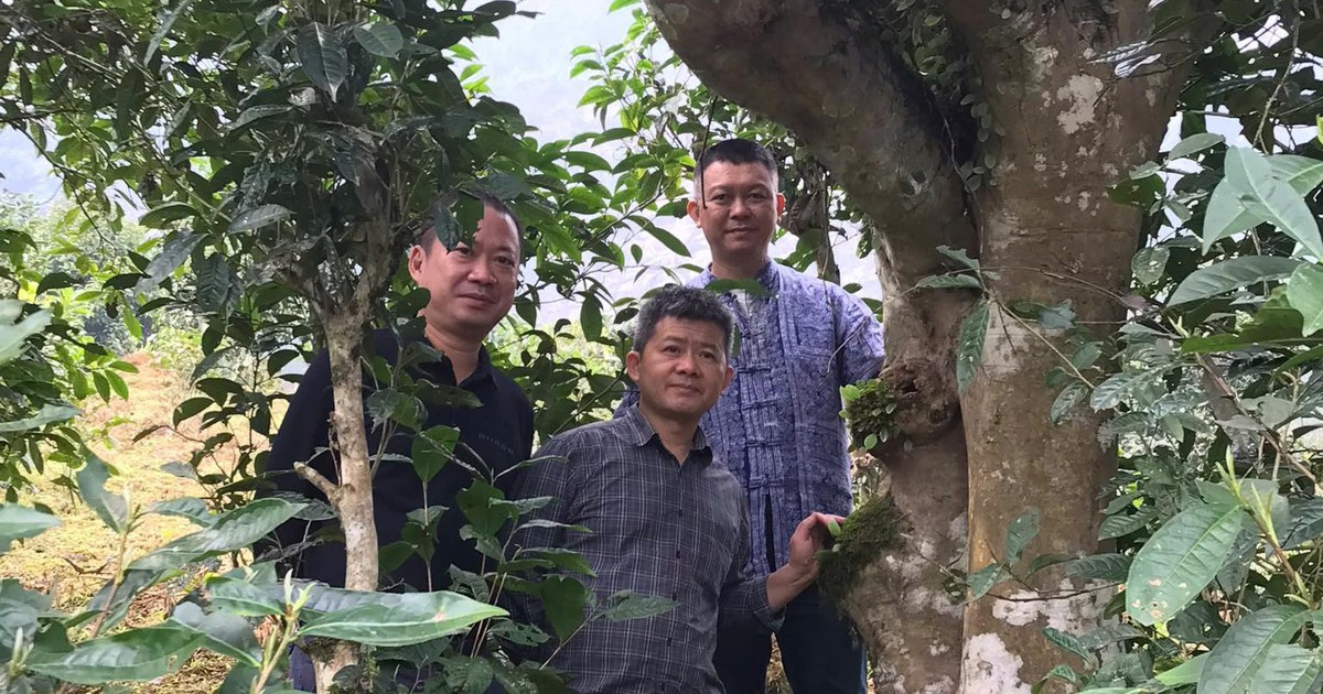 Uống trà đi !: Nghĩa đồng bào với non cao A Mú Sung