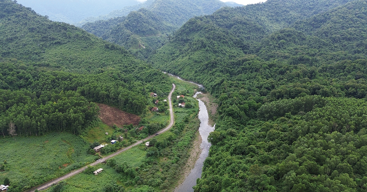 Rừng Quảng B&igrave;nh: B&aacute;u vật thi&ecirc;n nhi&ecirc;n v&agrave; c&ocirc;ng lao những người bảo vệ, ph&aacute;t triển rừng