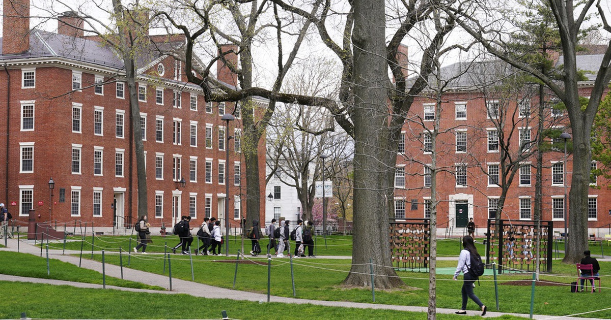 Thẩm phán Mỹ hoãn vô thời hạn lệnh cấm Đại học Harvard tuyển sinh viên quốc tế