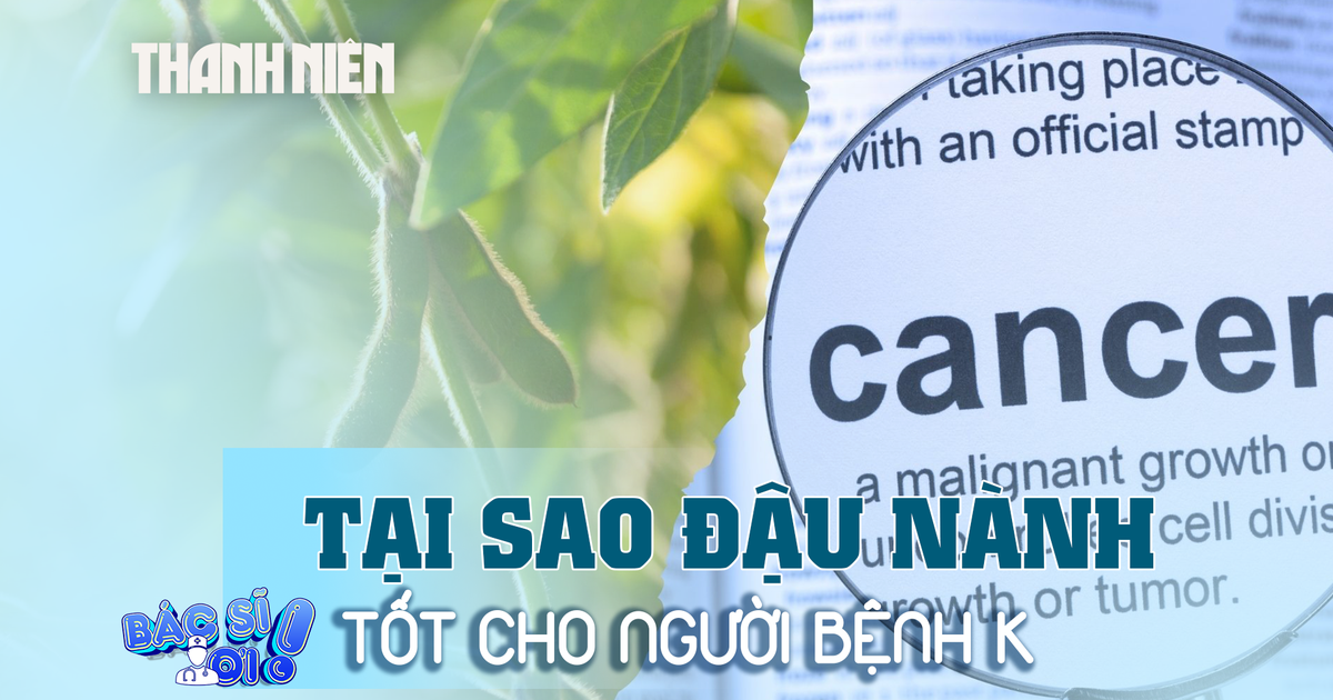 Không phải là nguyên nhân gây ung thư, đậu nành có 4 dưỡng chất quan trọng chống tế bào K