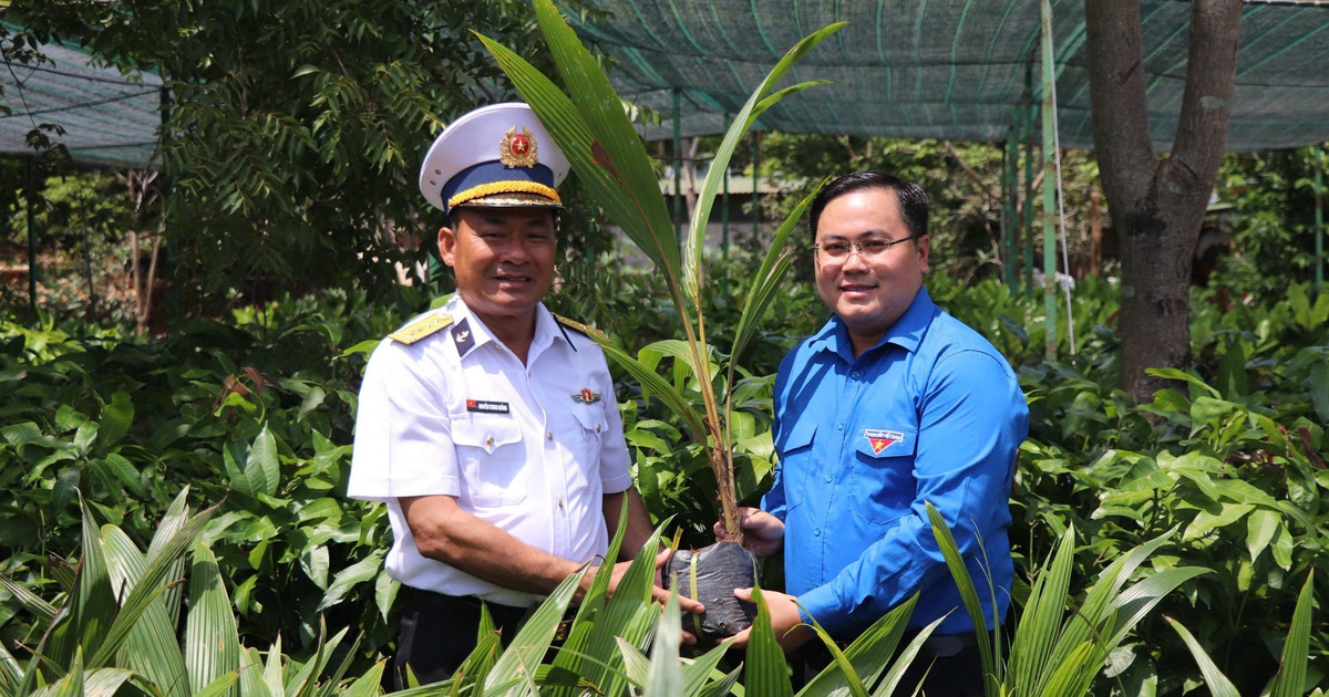 Bàn giao công trình thanh niên 'Dừa Bến Tre với biển, đảo quê hương'