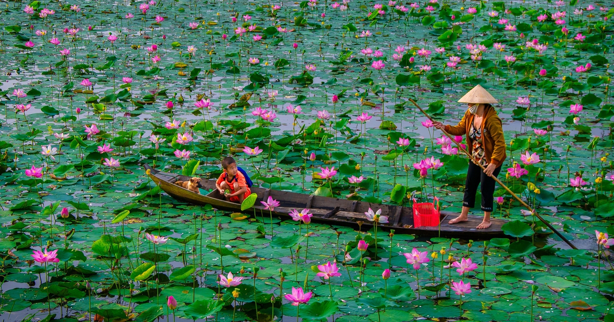 Đồng Tháp - tên gọi thân thương