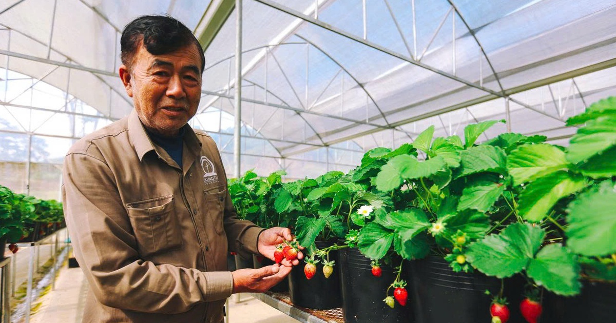 Langfarm - Hành trình từ đặc sản Đà Lạt đến trải nghiệm bản sắc Việt