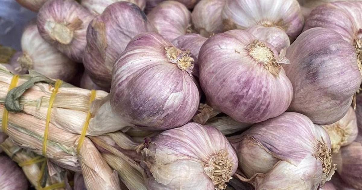 Bỏ thuốc, dùng tỏi để hạ huyết áp: Nên hay không?