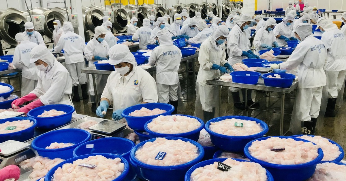 Mỹ áp thuế 0% với nhiều doanh nghiệp xuất khẩu cá tra Việt Nam