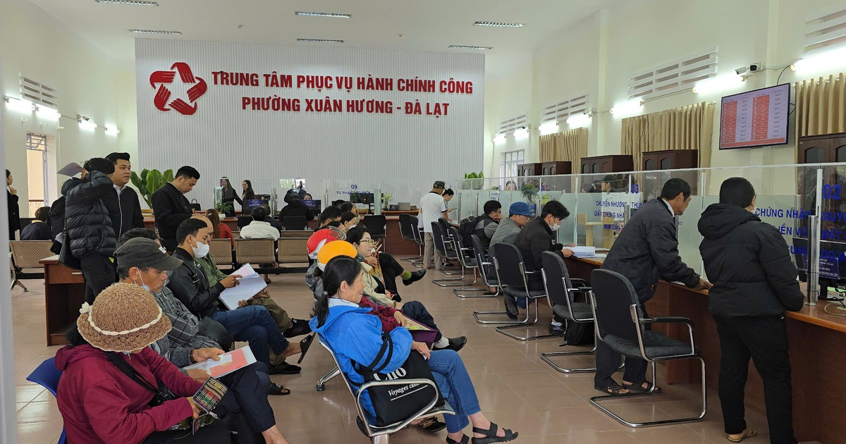 Trụ sở P.Xuân Hương - Đà Lạt rộn ràng trước giờ vận hành thử nghiệm